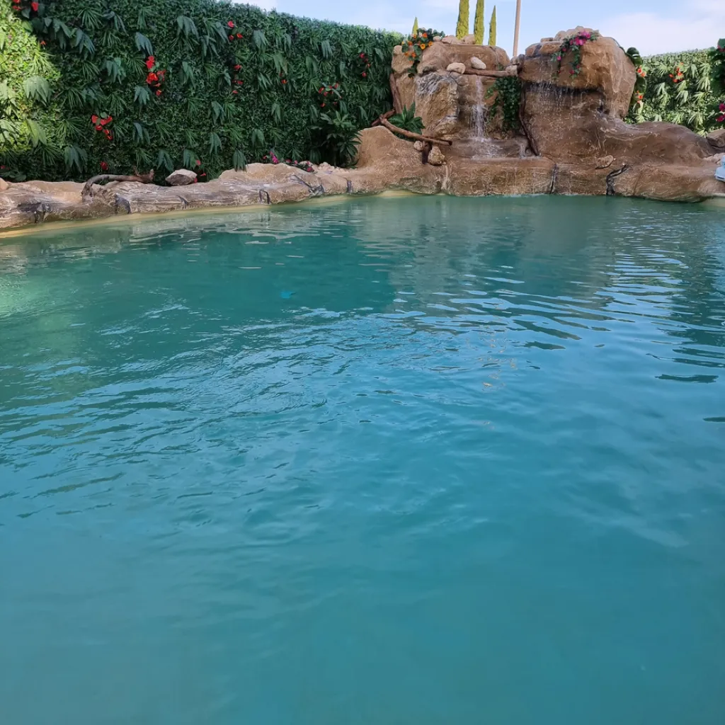 piscine en eau avec rocher artificiel