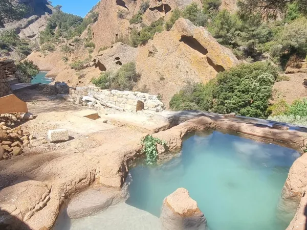 pierre décortive sur terrase et autour d'une piscine en milieu naturel